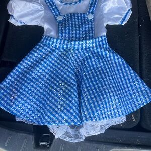 Dorthy from wizard of oz costume